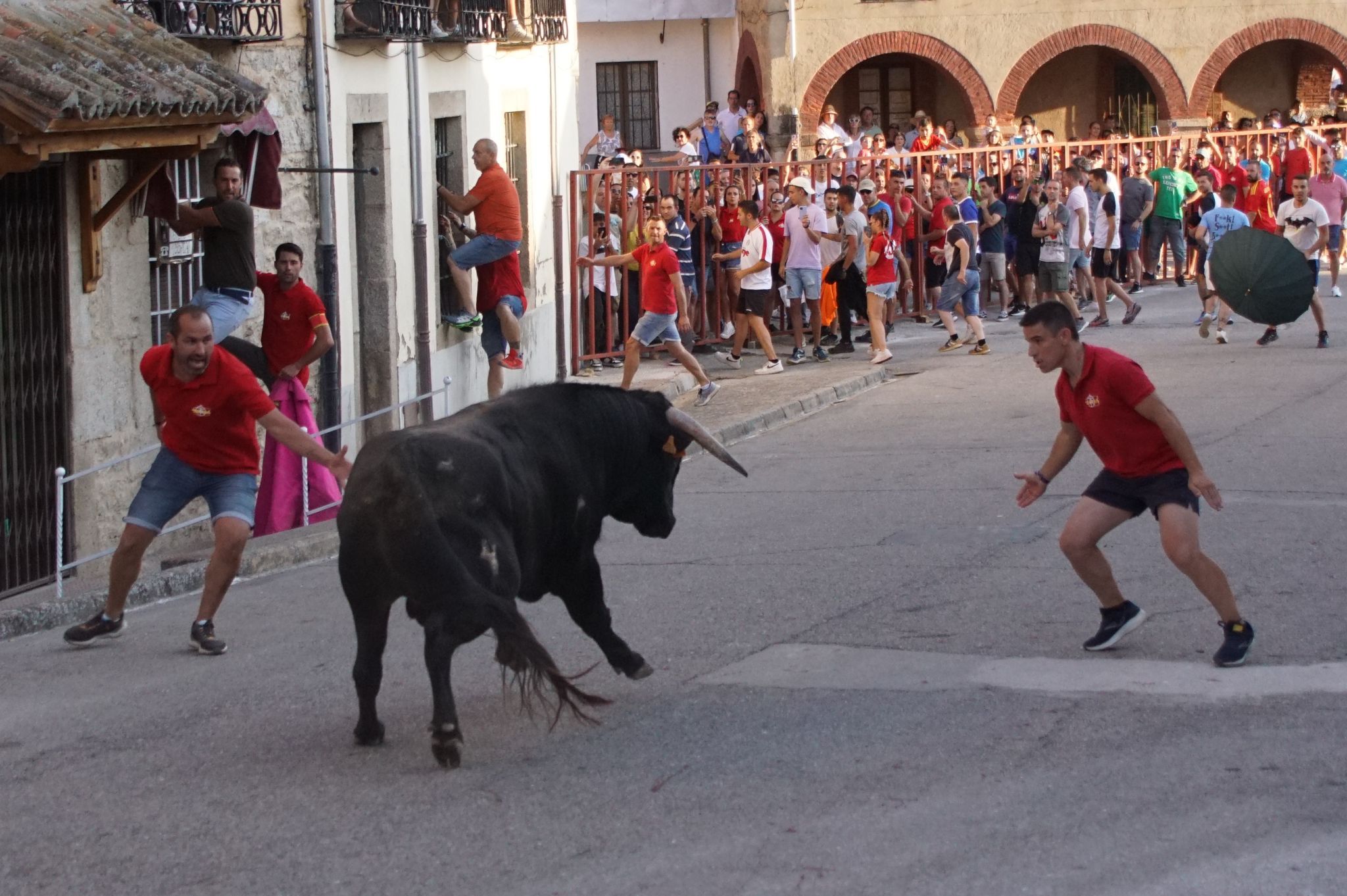 Ledesma disfruta de su primer Toro de Cajón y suelta de vaquilla