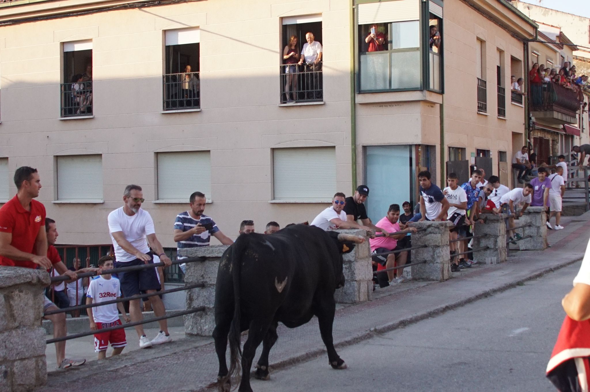 Ledesma disfruta de su primer Toro de Cajón y suelta de vaquilla