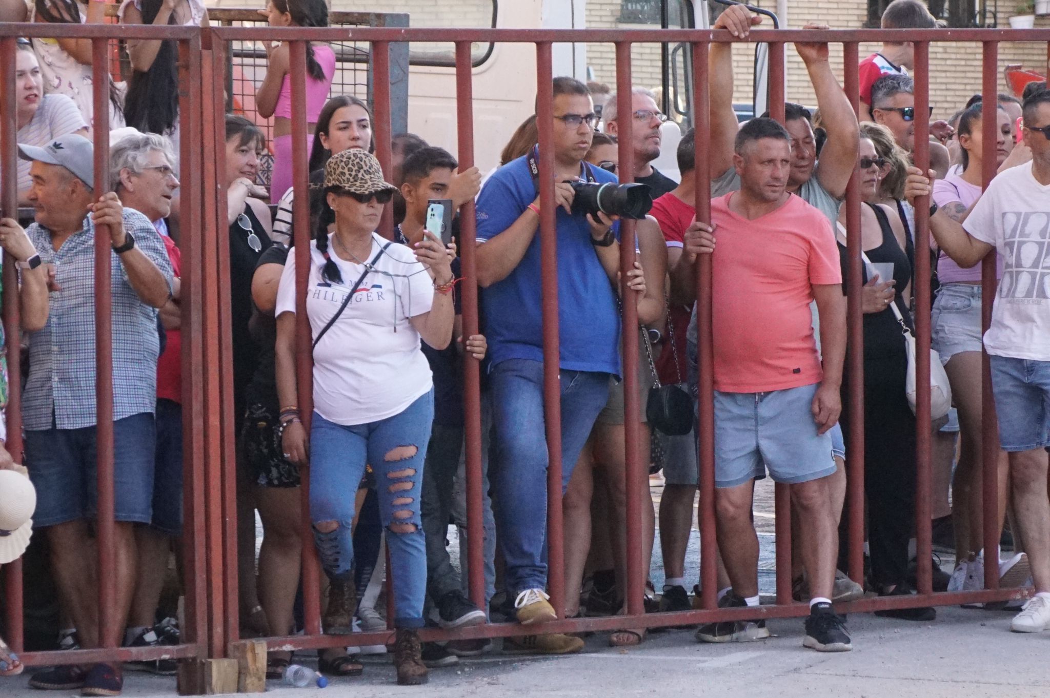 Ledesma disfruta de su primer Toro de Cajón y suelta de vaquilla