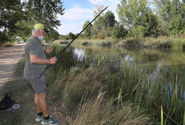 Pesca de cangrejos con retel en el canal de Castilla. Foto Brágimo | ICAL