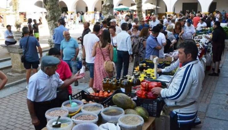 MERCADO MARTES 2019 3 800x615