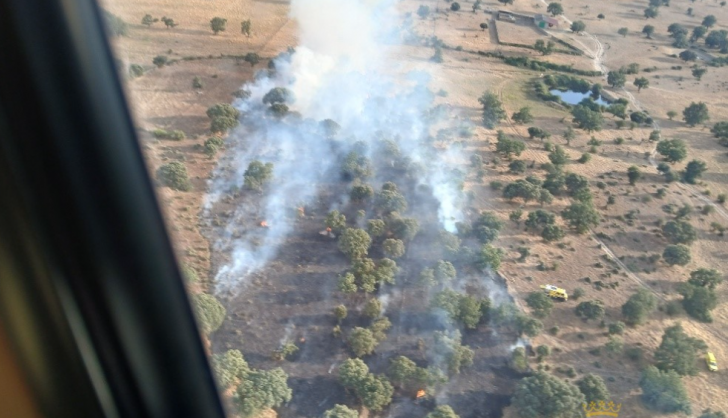 Incendio forestal en Espadaña. Foto JCYL