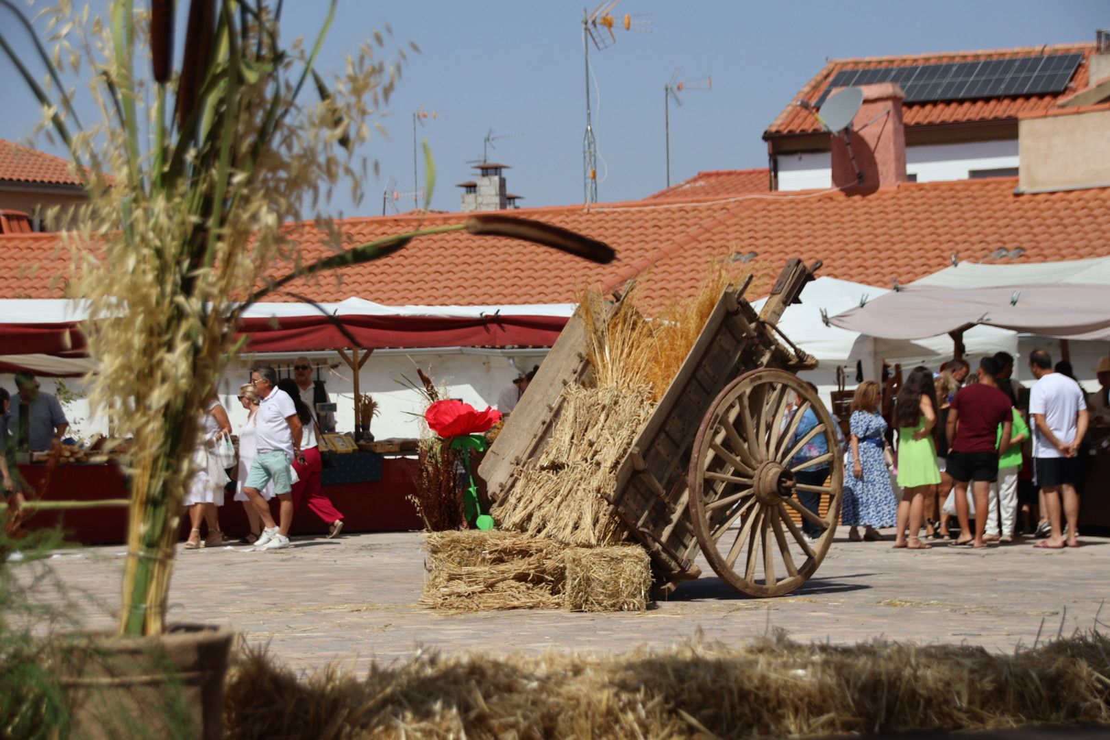 Apertura del Mercado campesino de Miranda de Azán