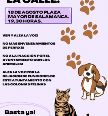 Concentración por los perros y gatos en 18 de agosto