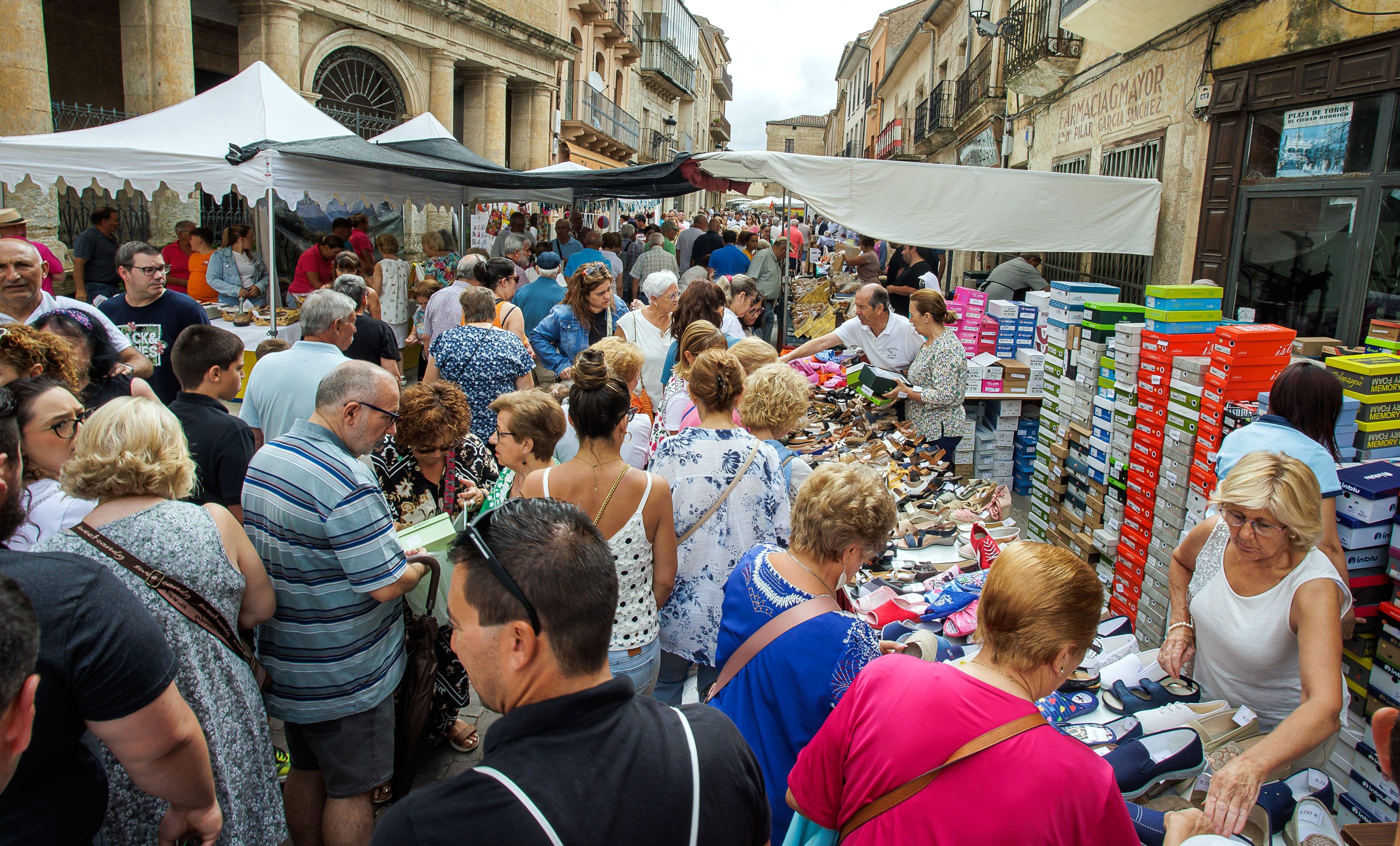 Celebración del Martes Mayor en Ciudad Rodrigo. ICAL VICENTE (10)