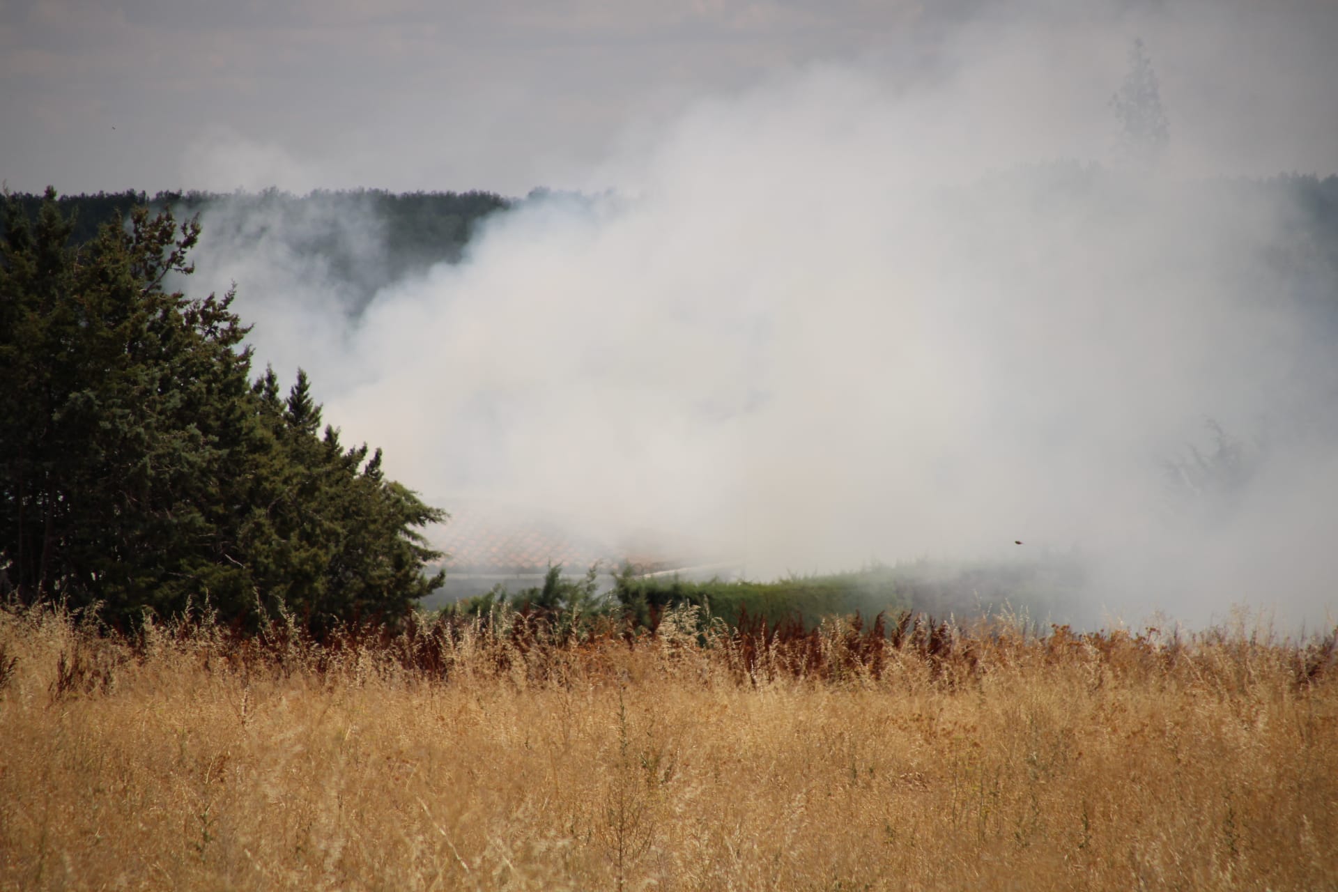  Incendio de pasto en Cabrerizos, en la SA-804. Fotos SALAMANCA24HORAS