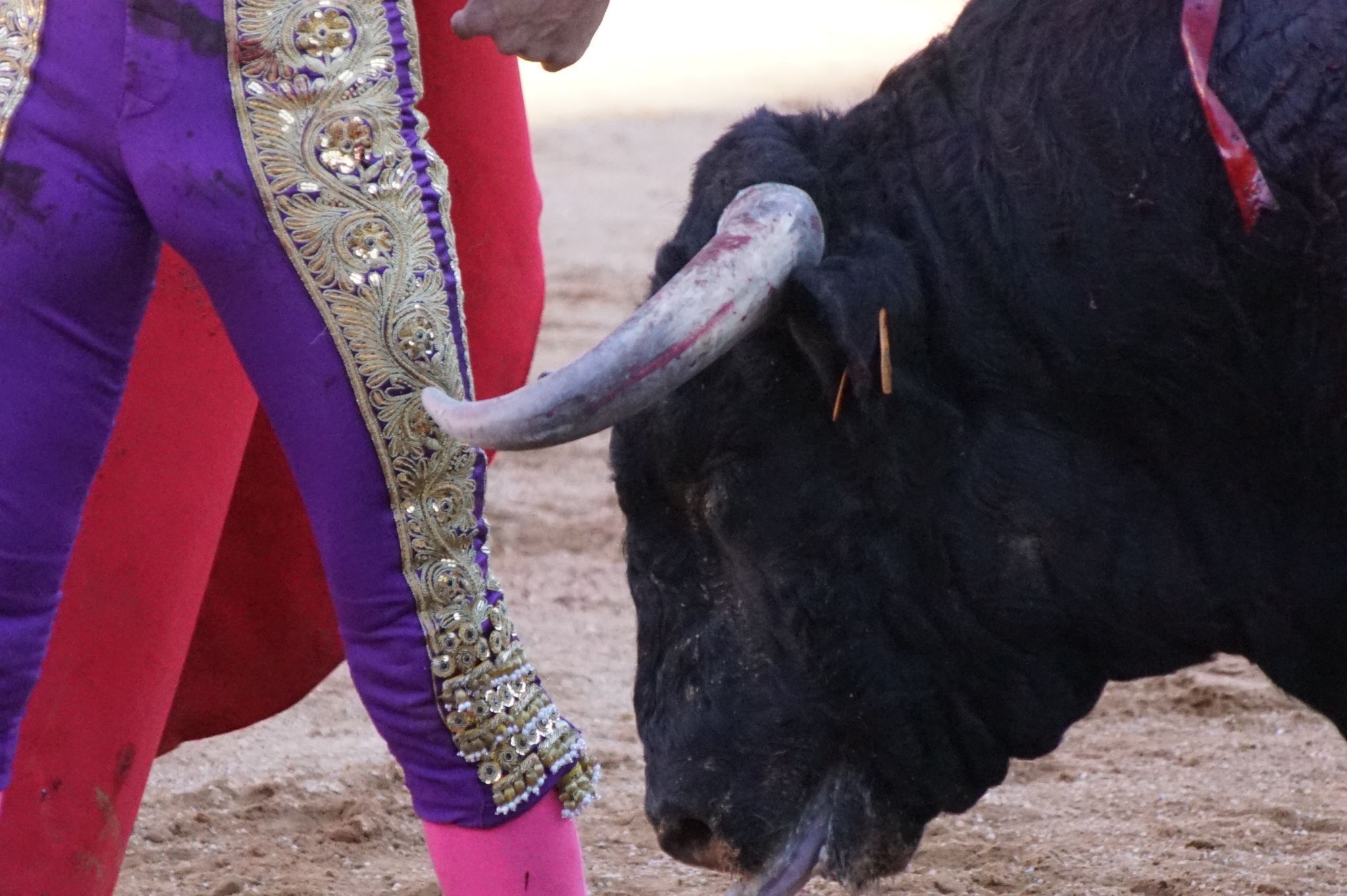 Corrida de Toros en Guijuelo para El Fandi, Manzanares y Diosleguarde (2)