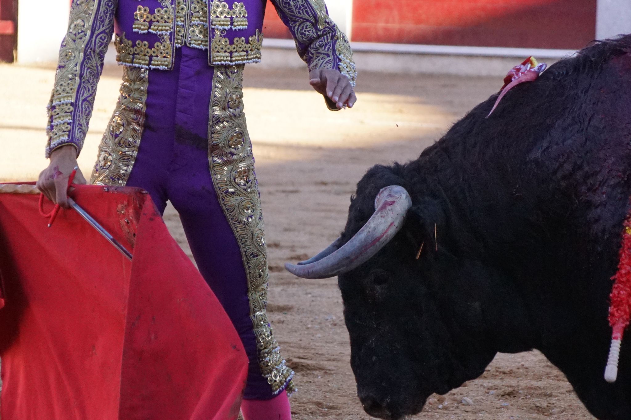 Corrida de Toros en Guijuelo para El Fandi, Manzanares y Diosleguarde (3)