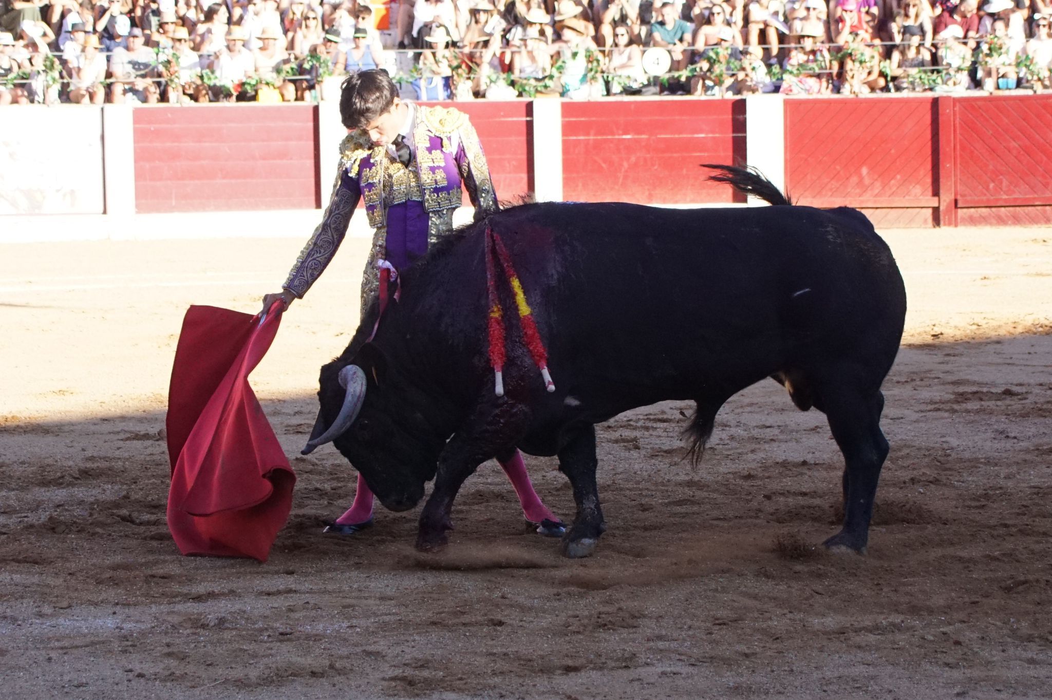 Corrida de Toros en Guijuelo para El Fandi, Manzanares y Diosleguarde (5)