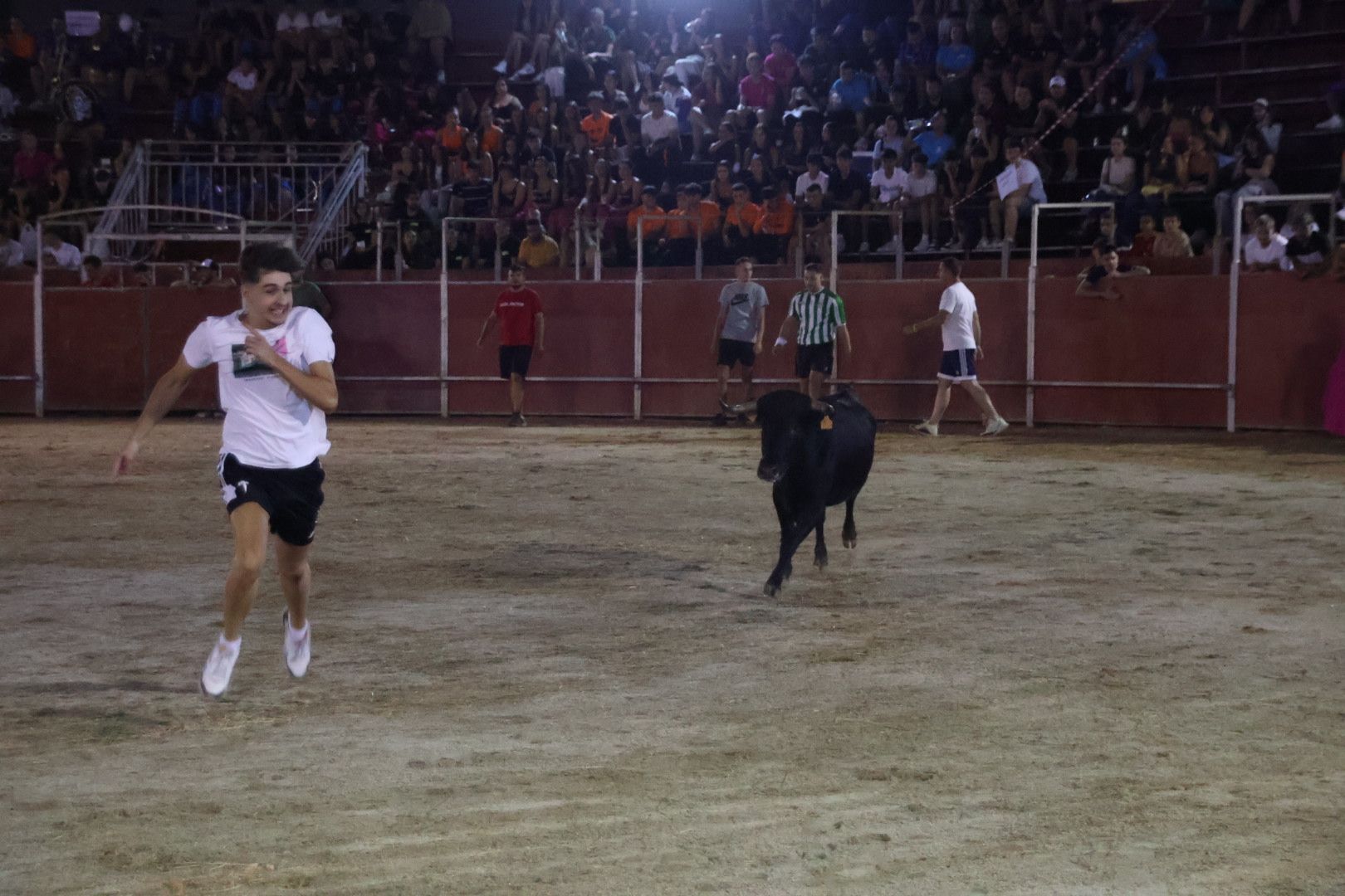 Capea Nocturna con suelta de vaquillas en Carbajosa