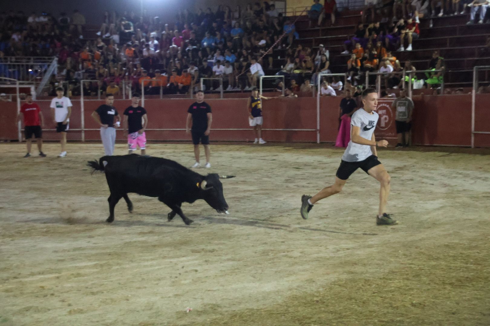 Capea Nocturna con suelta de vaquillas en Carbajosa