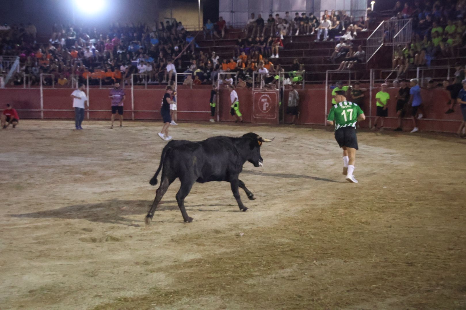 Capea Nocturna con suelta de vaquillas en Carbajosa