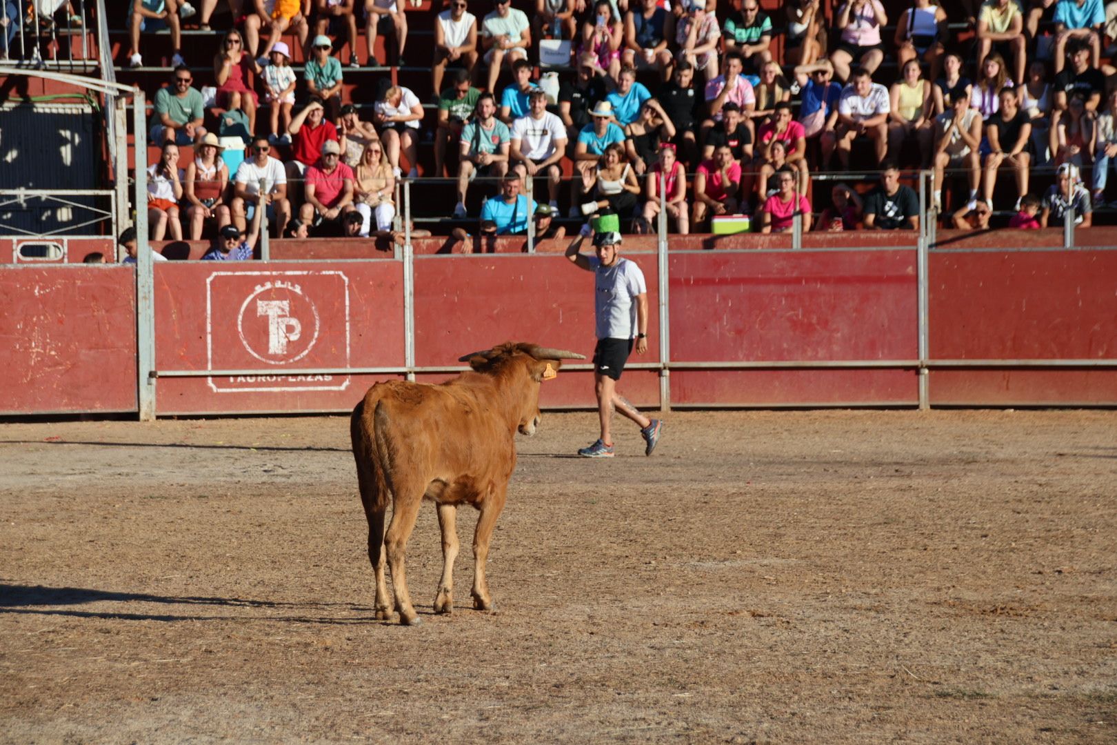 Carbajosa, Talento Prix: juegos y pruebas tipo gymkhana