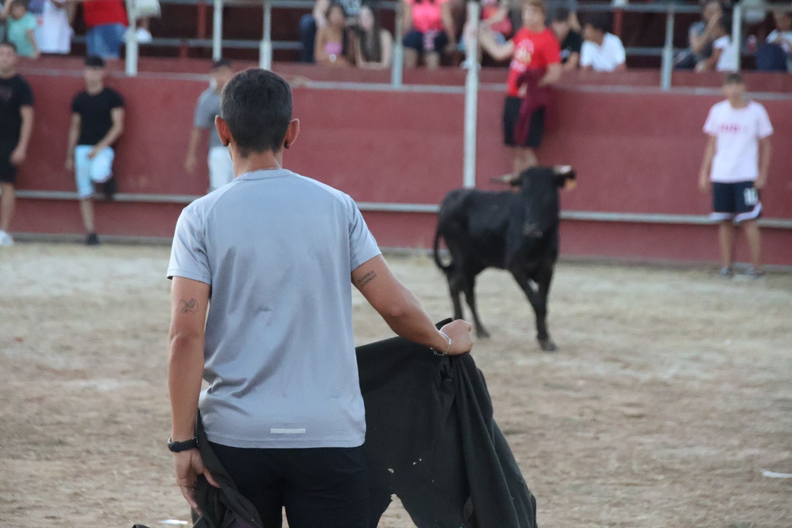 Suelta de vaquilla en Carbajosa 