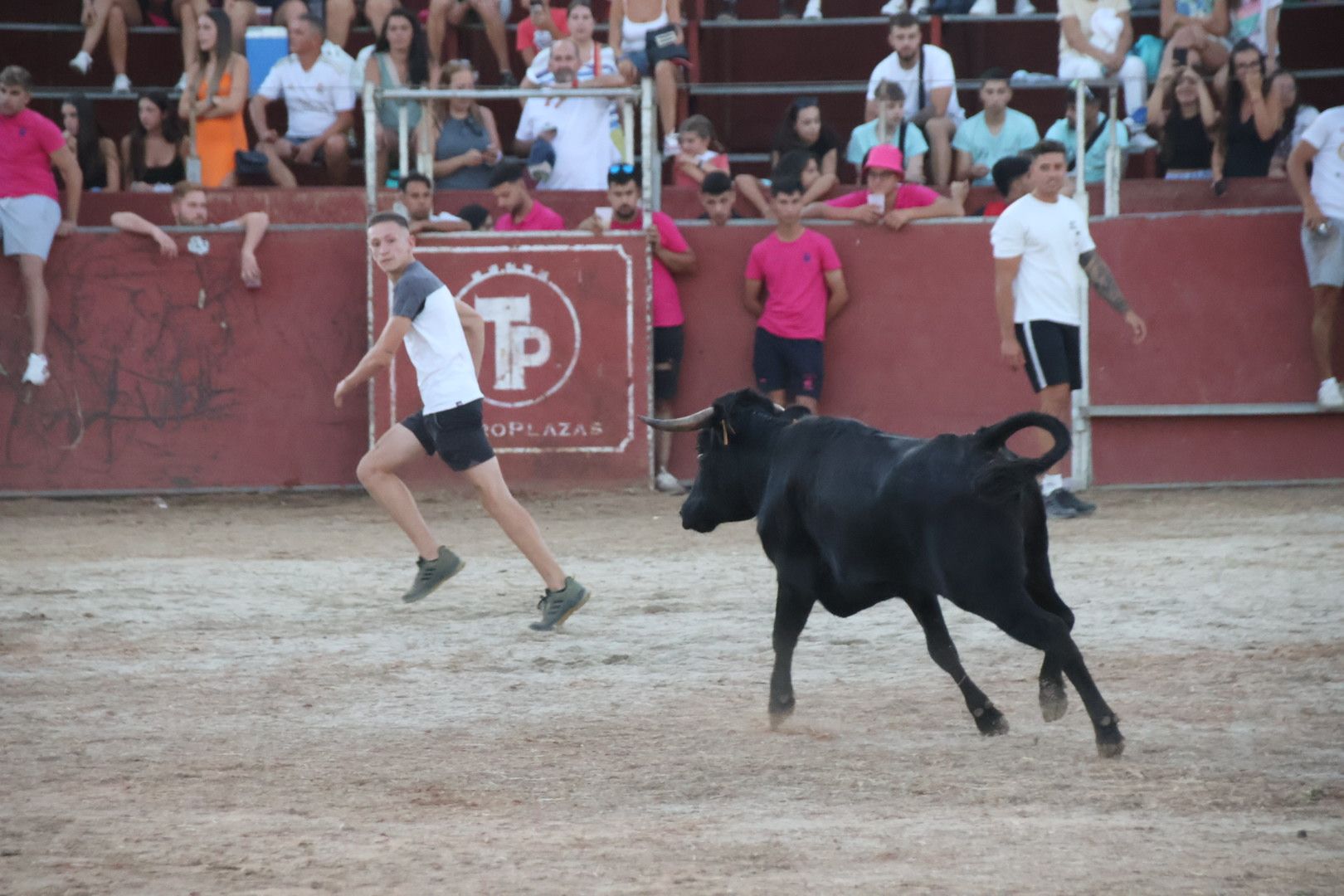 Suelta de vaquilla en Carbajosa 