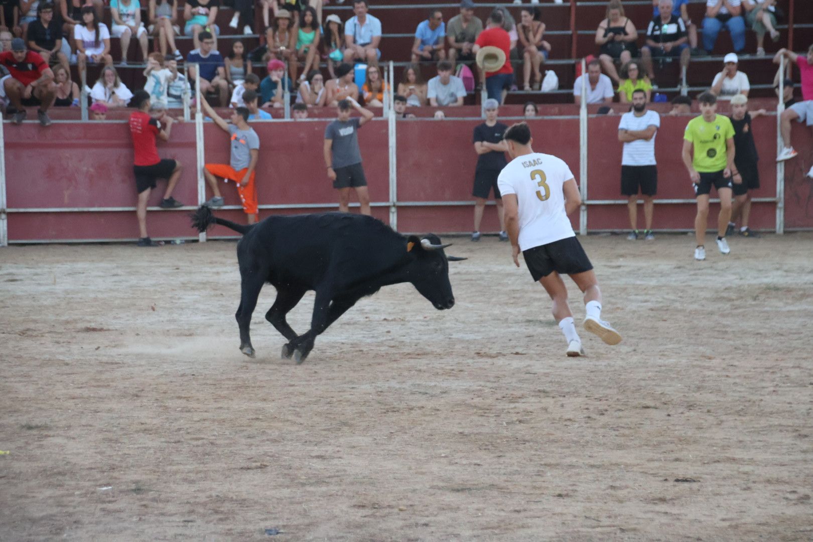 Suelta de vaquilla en Carbajosa 