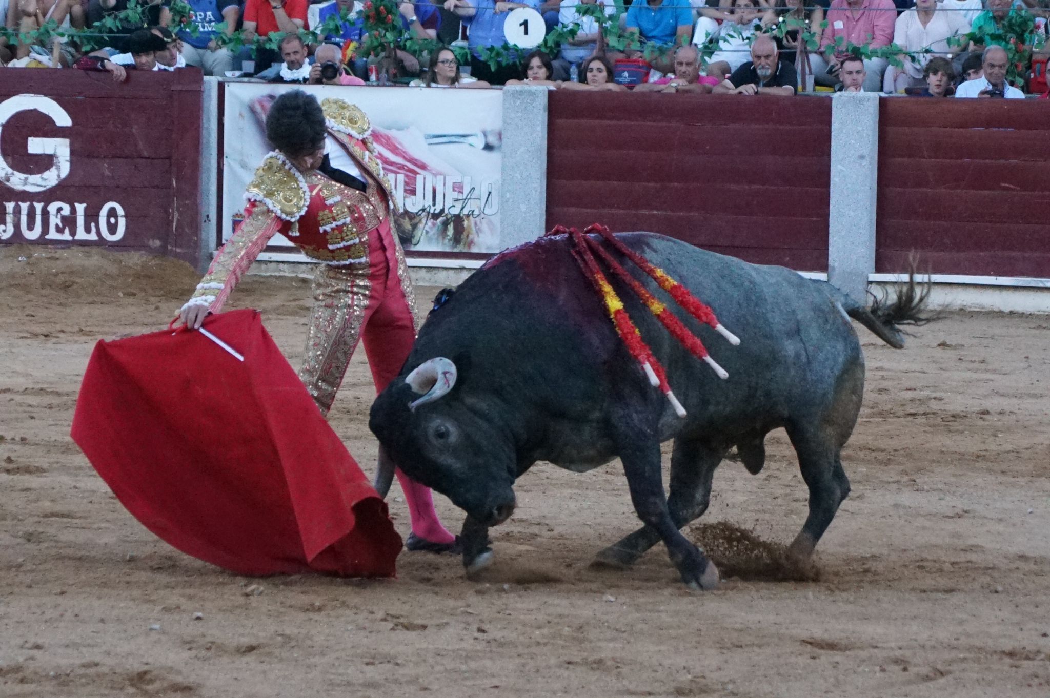 Tarde de toros en Guijuelo, este viernes, 16 de agosto