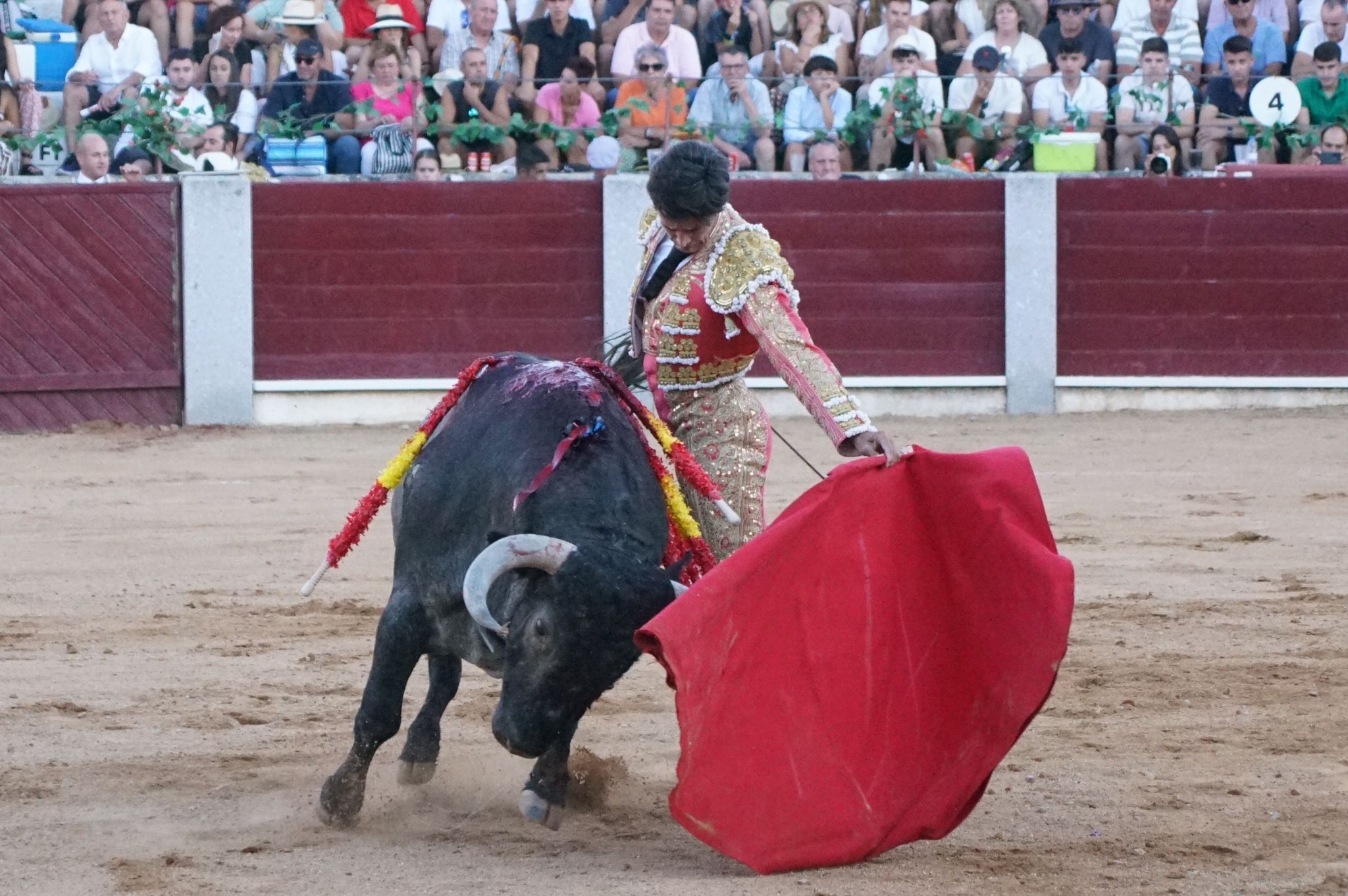 Tarde de toros en Guijuelo, este viernes, 16 de agosto