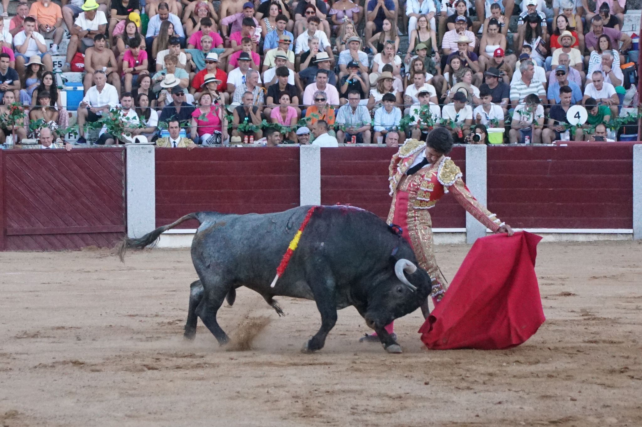 Tarde de toros en Guijuelo, este viernes, 16 de agosto