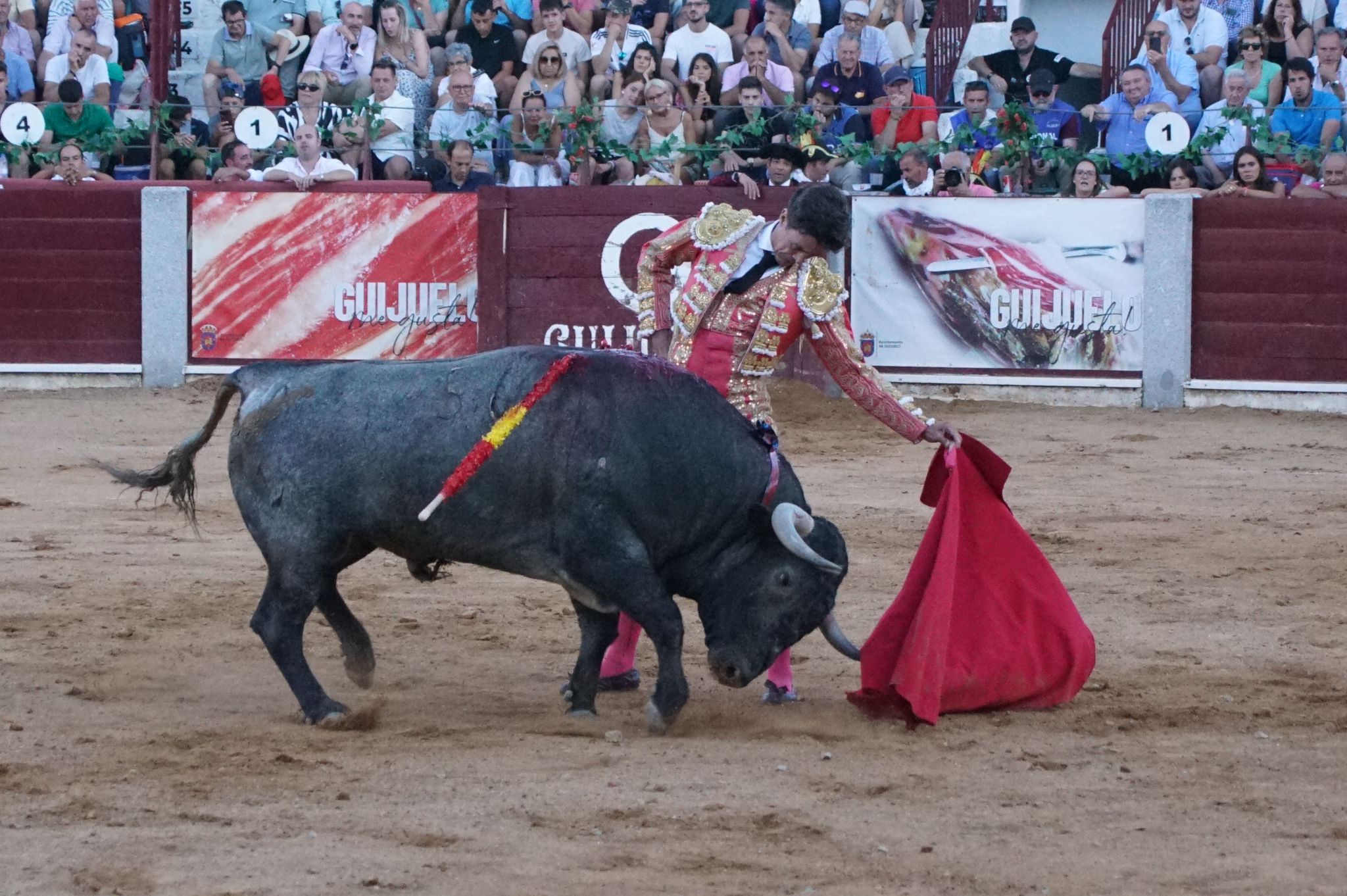 Tarde de toros en Guijuelo, este viernes, 16 de agosto