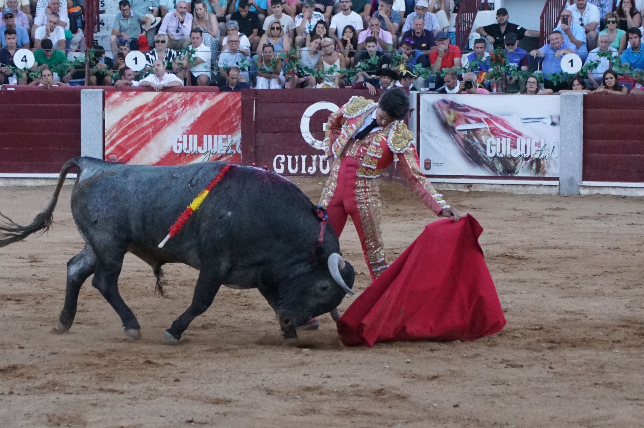 Tarde de toros en Guijuelo, este viernes, 16 de agosto