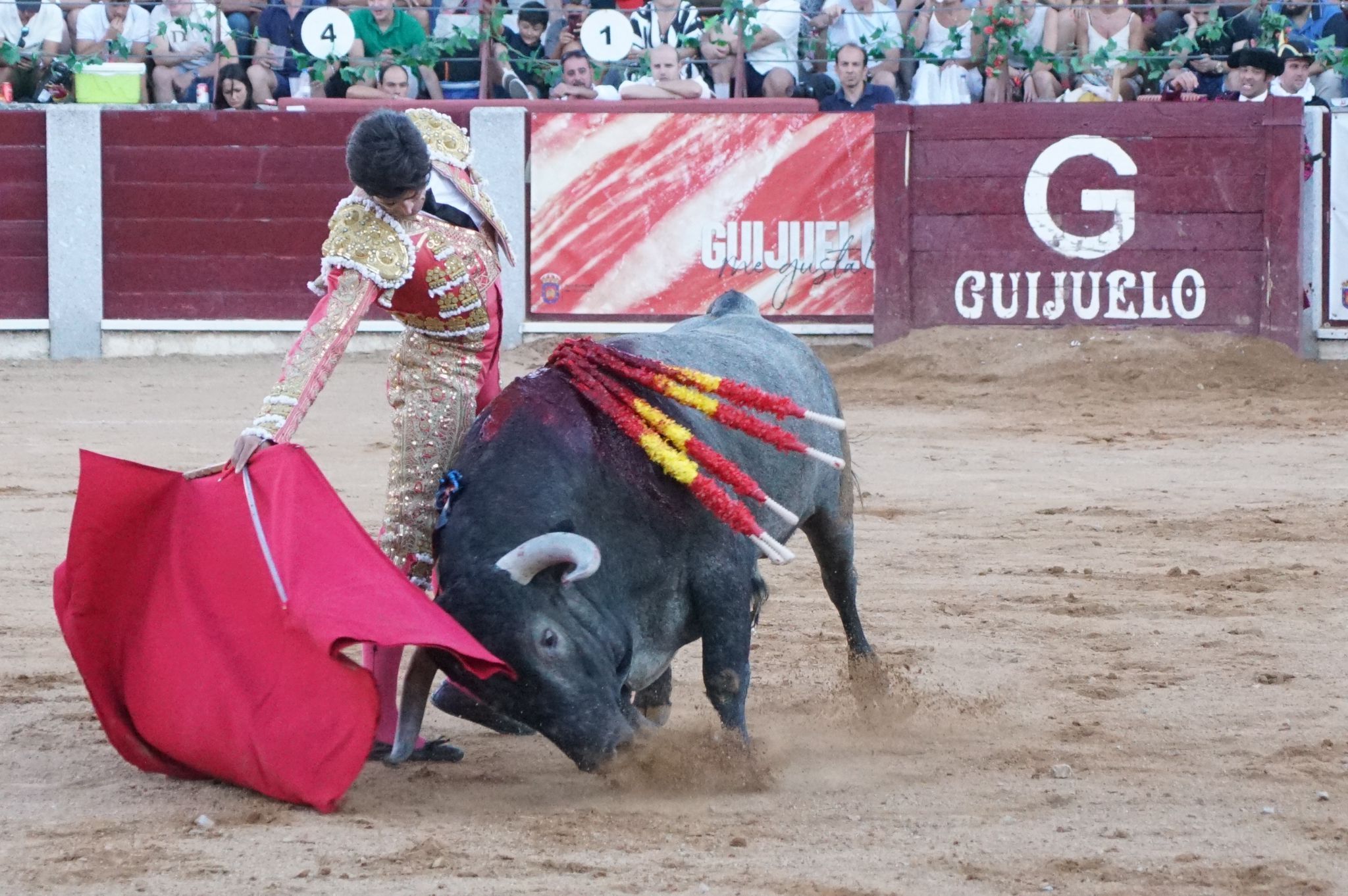 Tarde de toros en Guijuelo, este viernes, 16 de agosto