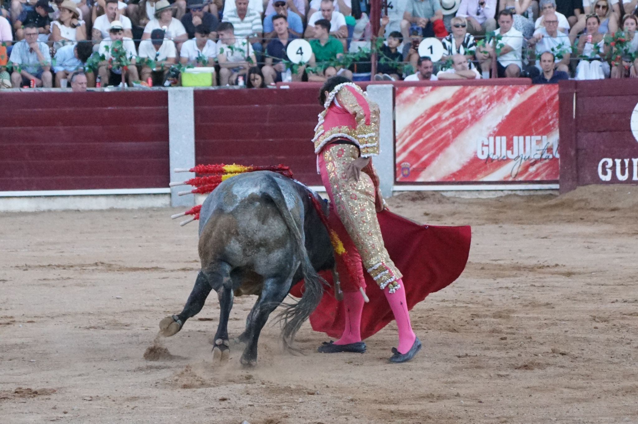 Tarde de toros en Guijuelo, este viernes, 16 de agosto