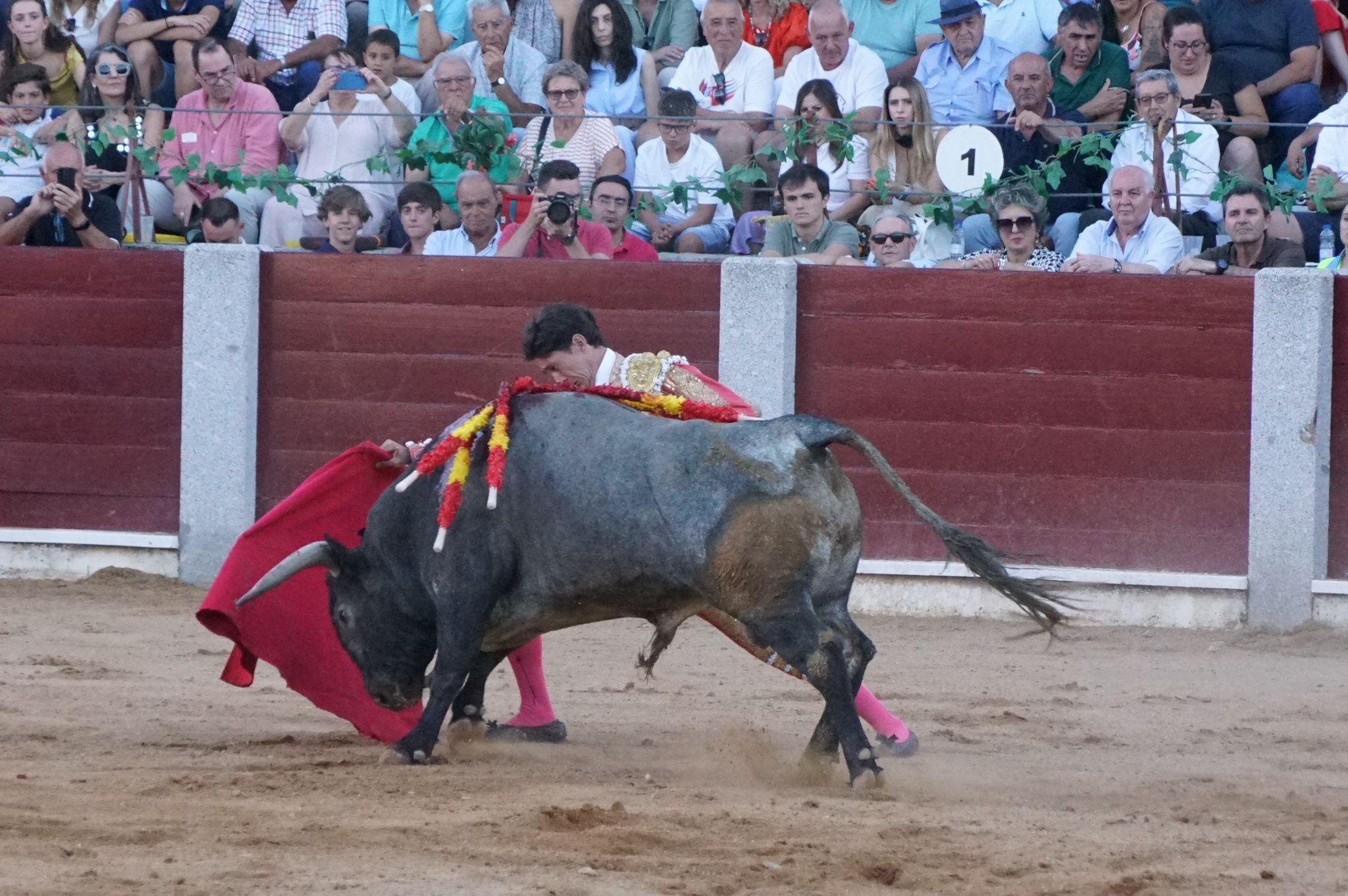 Tarde de toros en Guijuelo, este viernes, 16 de agosto