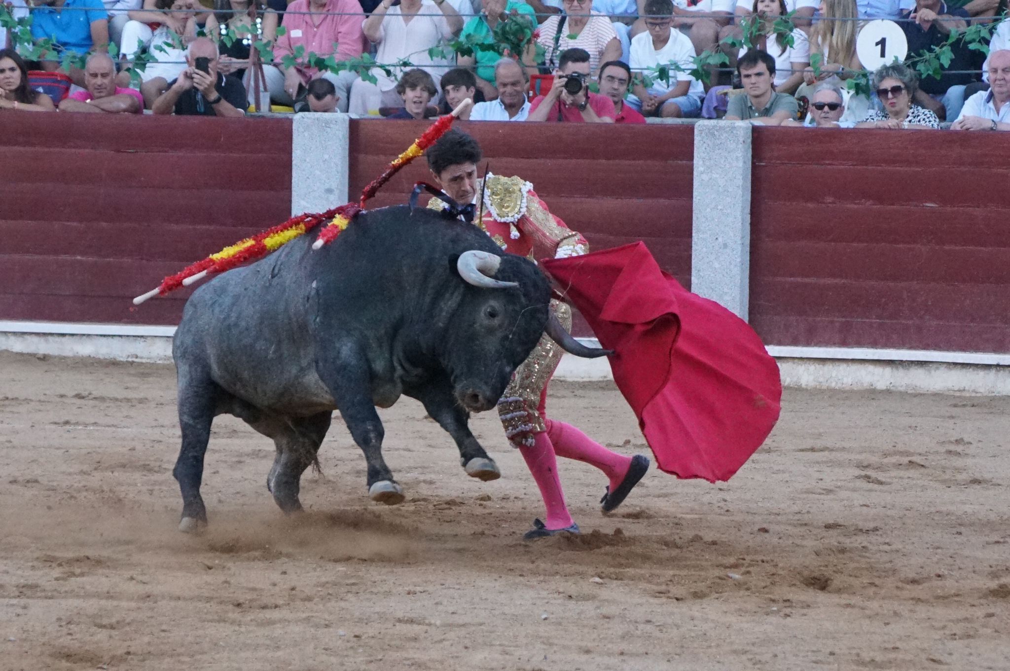 Tarde de toros en Guijuelo, este viernes, 16 de agosto