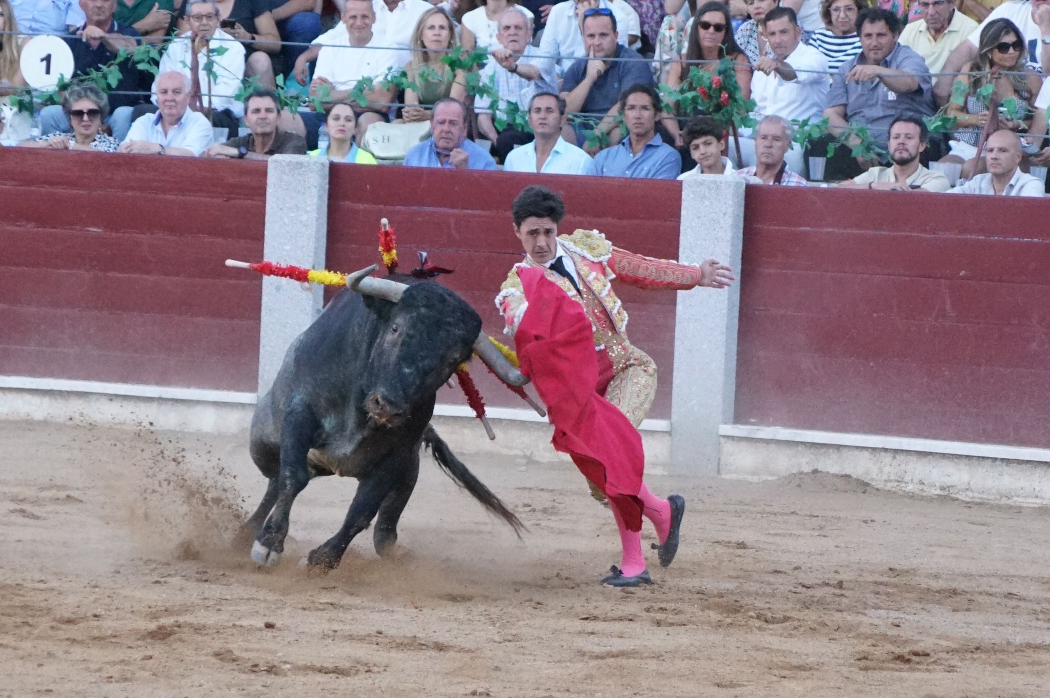 Tarde de toros en Guijuelo, este viernes, 16 de agosto