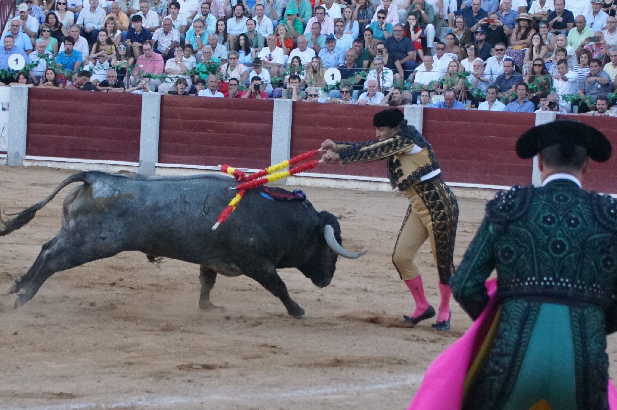 Tarde de toros en Guijuelo, este viernes, 16 de agosto