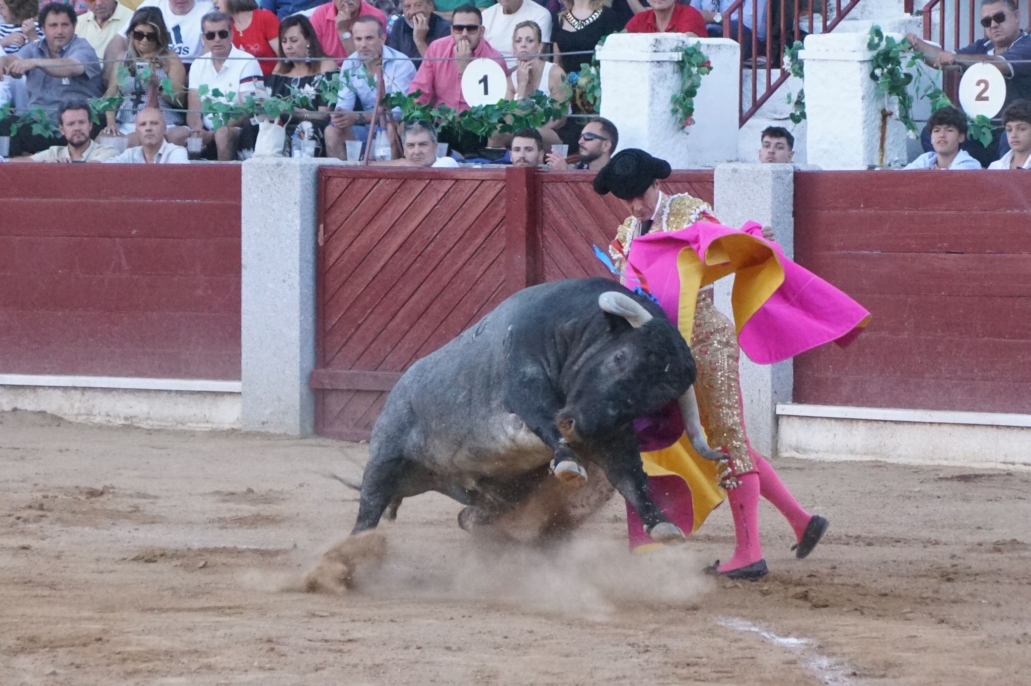 Tarde de toros en Guijuelo, este viernes, 16 de agosto