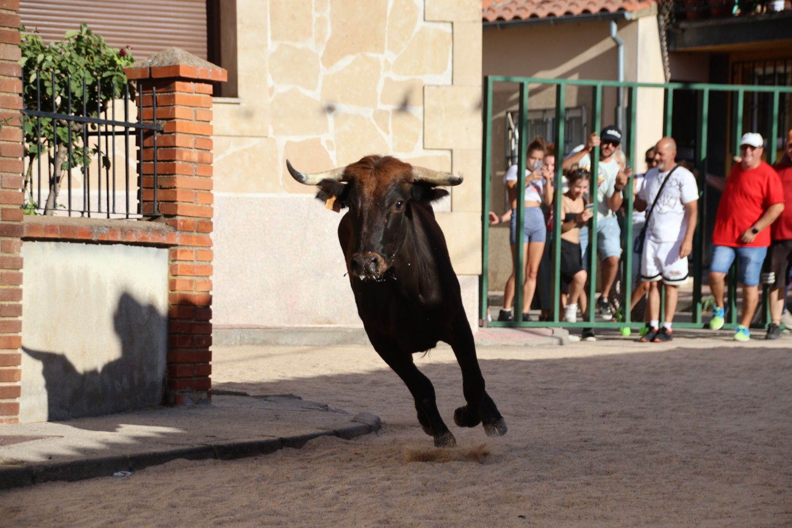 Calzada de Valdunciel, encierro urbano