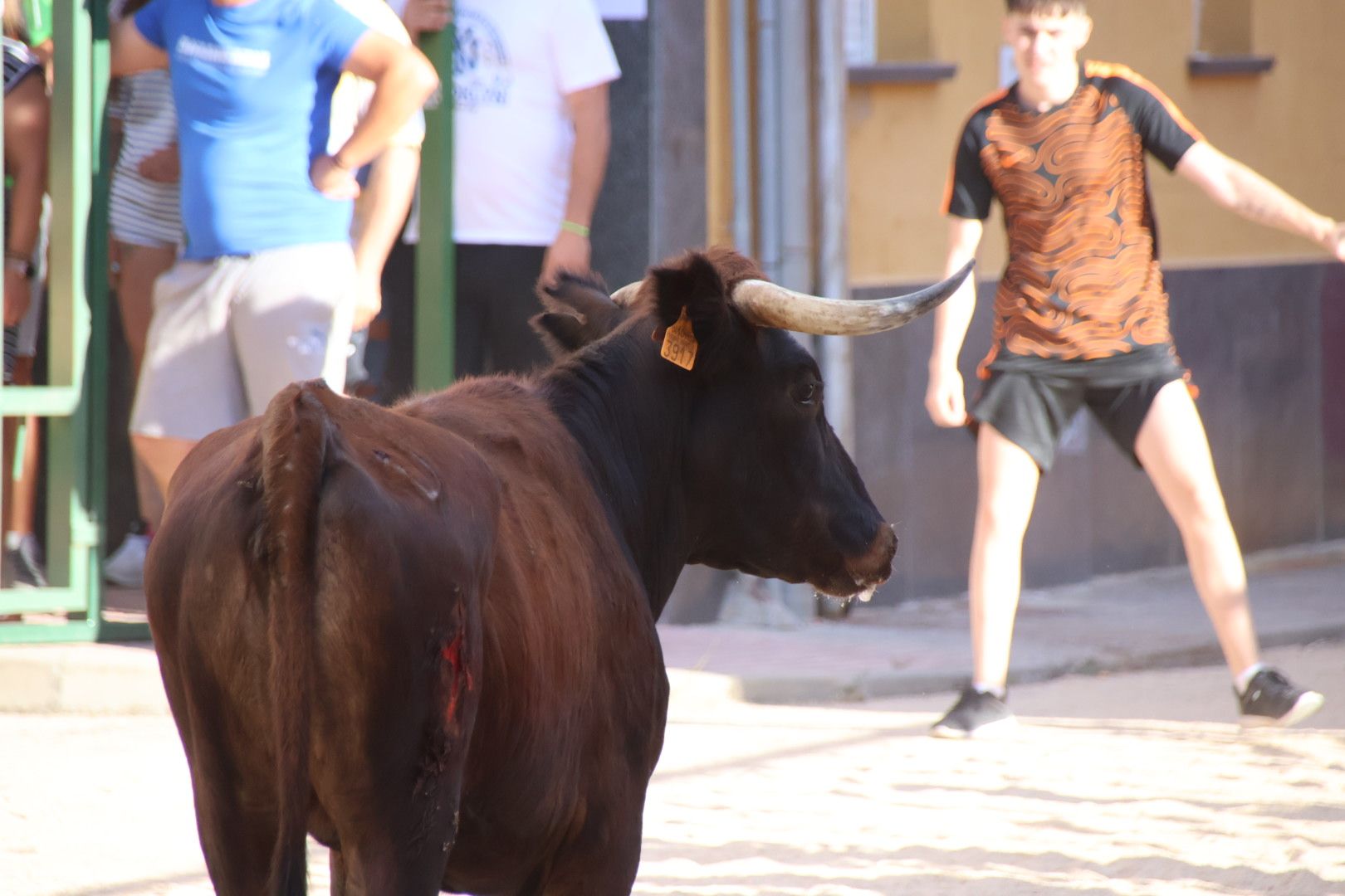 Calzada de Valdunciel, encierro urbano