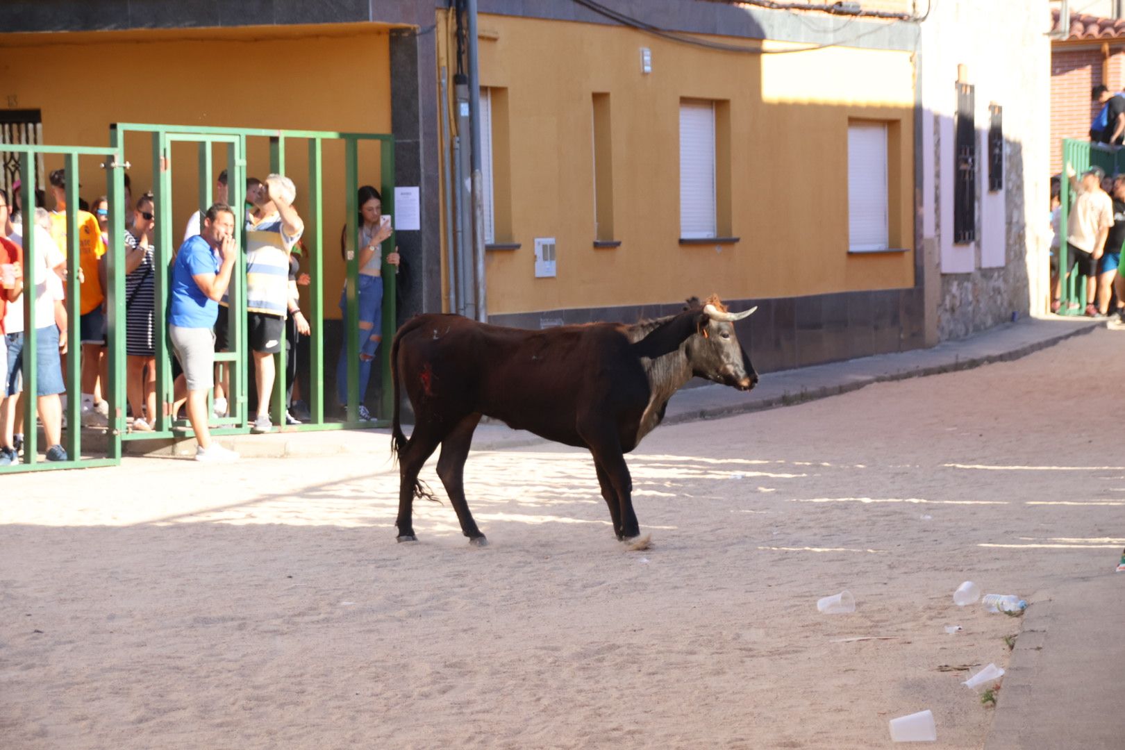 Calzada de Valdunciel, encierro urbano