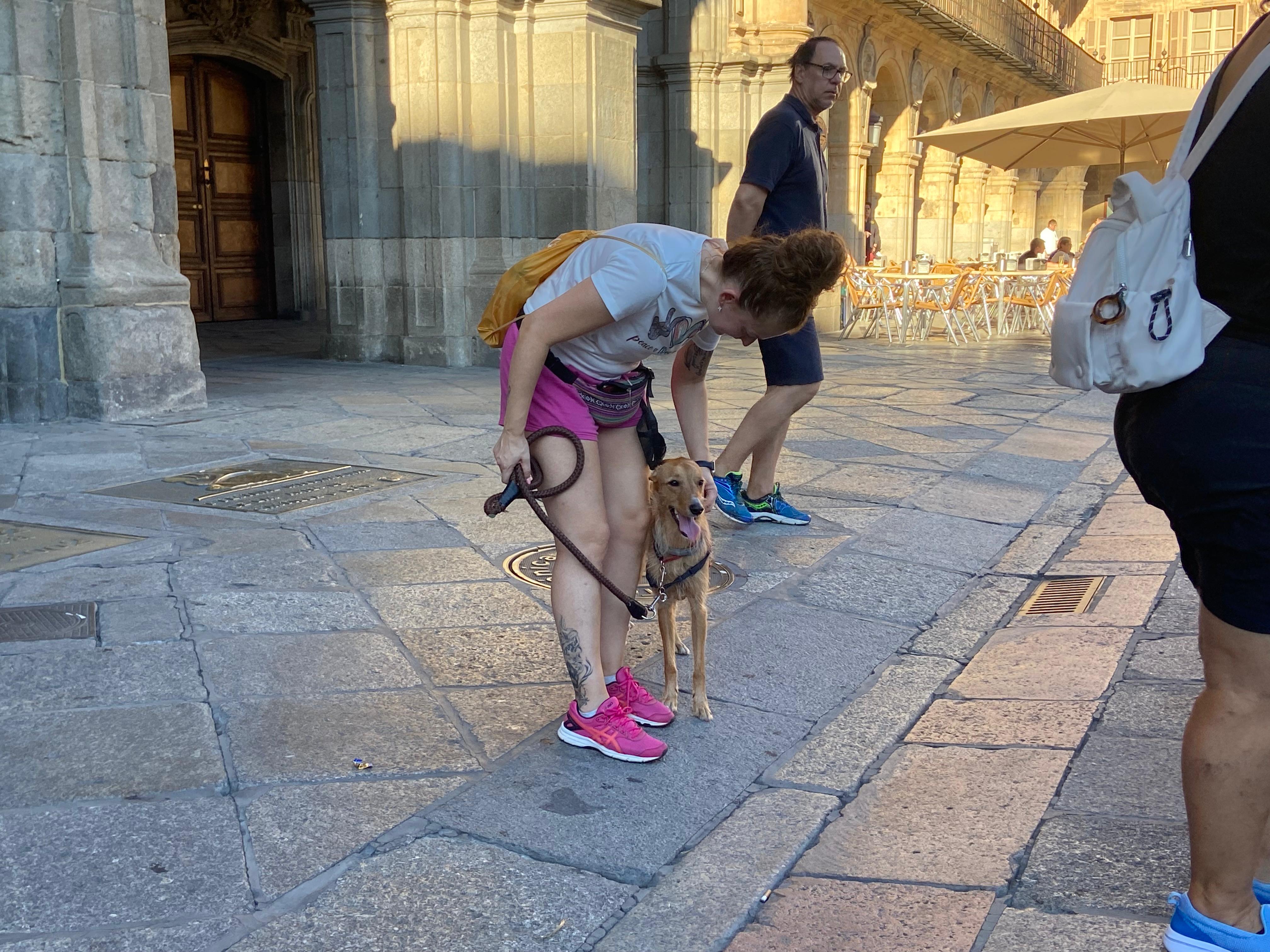 PACMA y varios vecinos se manifiestan en la Plaza Mayor tras los envenenamientos de animales en la Avenida Salamanca