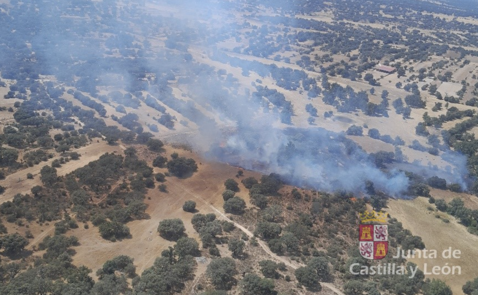 Un incendio forestal en Brincones obliga a intervenir a varios medios terrestres y aéreos