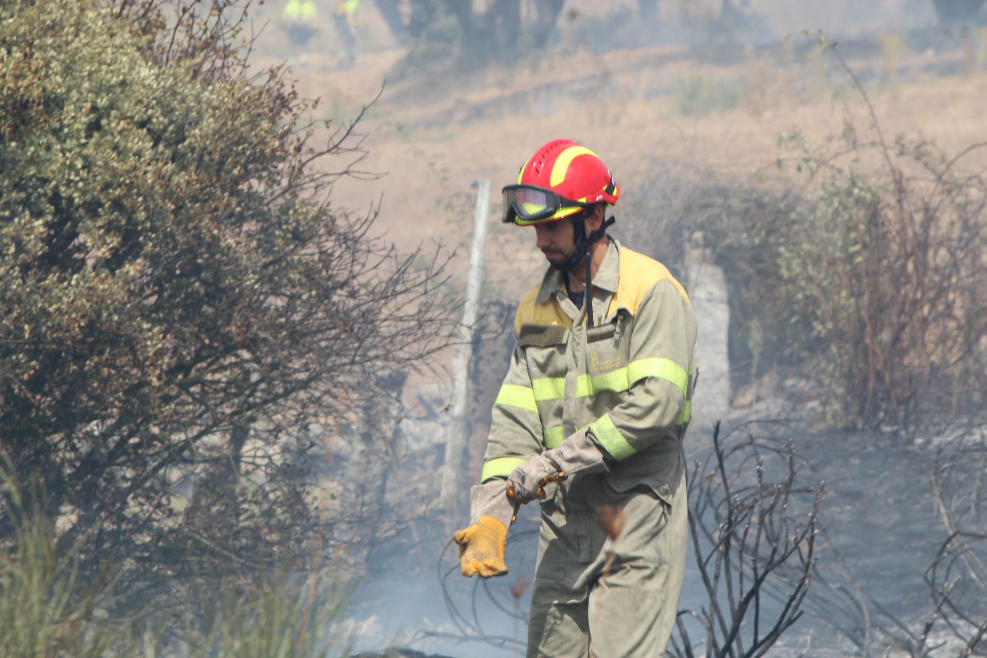 Incendio forestal en Buenavista. Fotos Carlos H.G