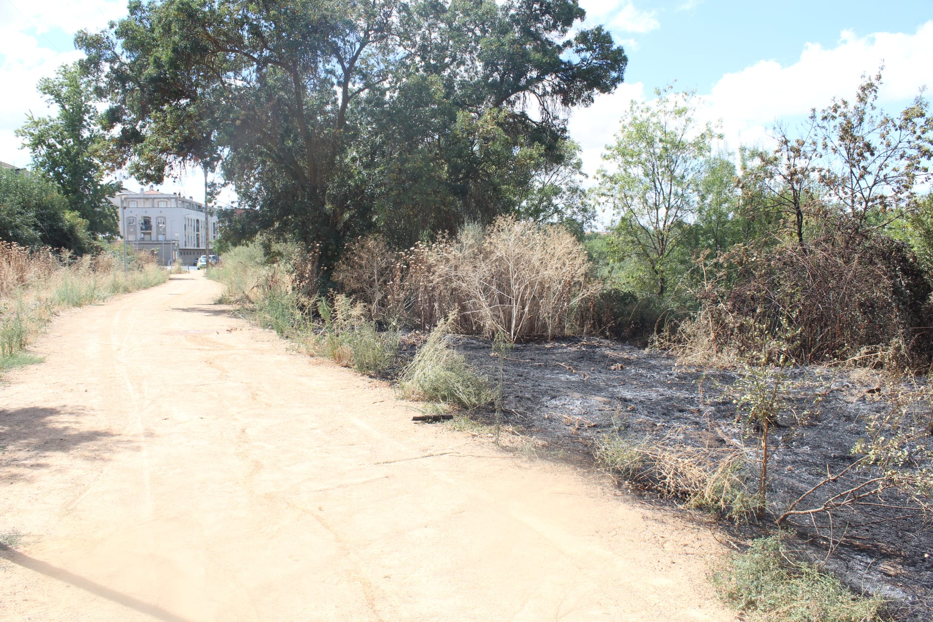 Incendio en la zona de Tejares (2)