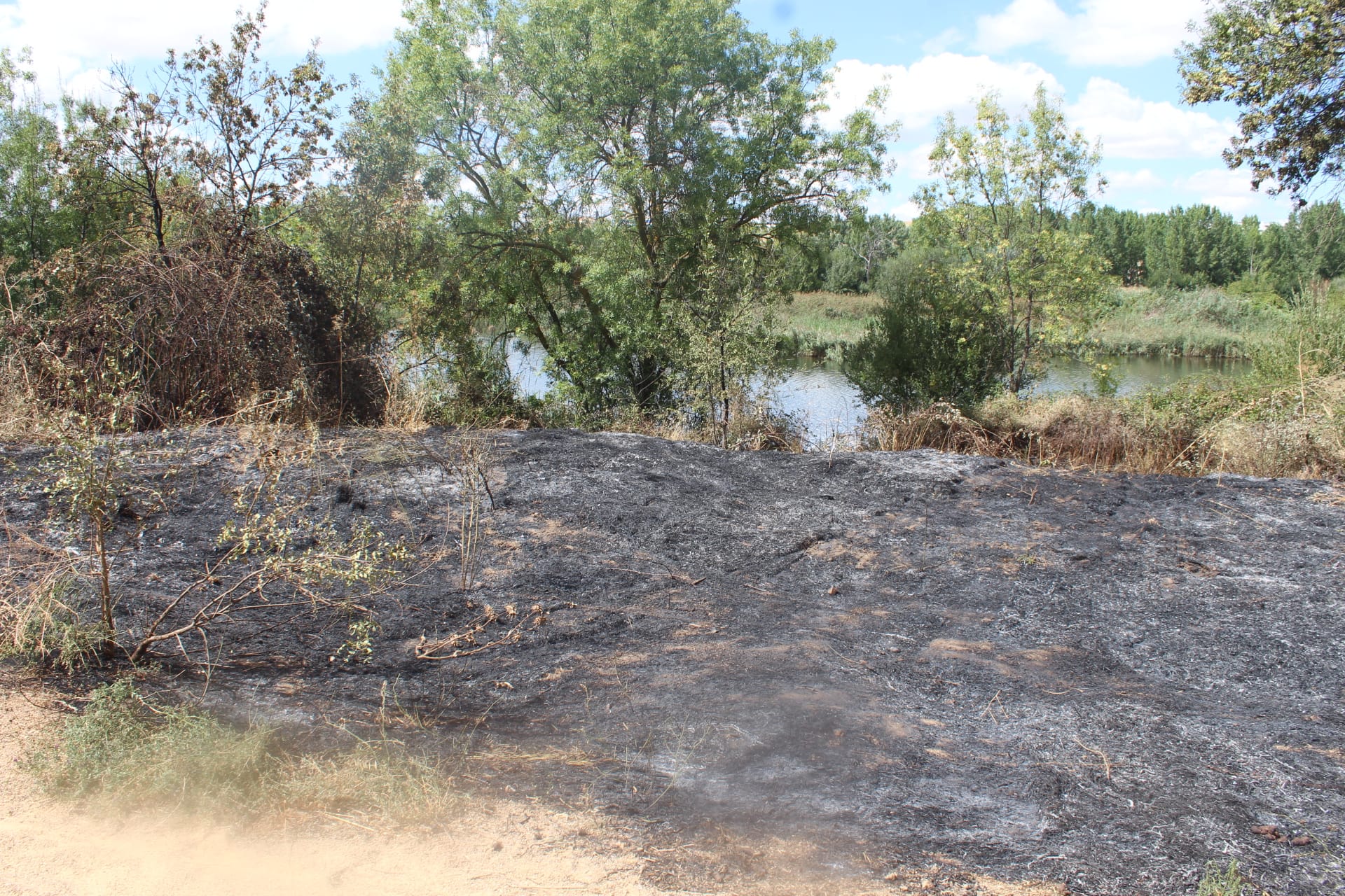 Incendio en la zona de Tejares (5)