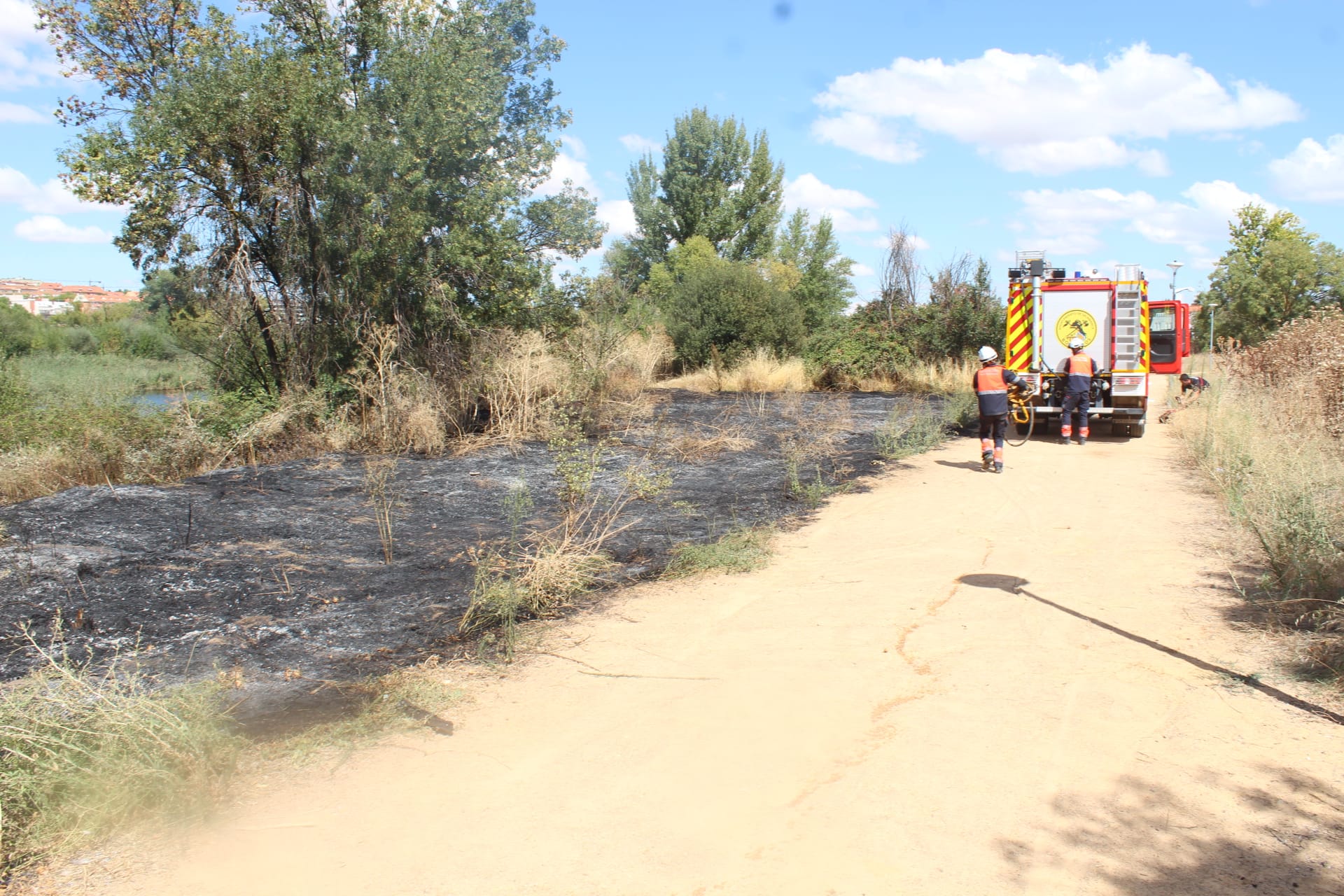 Incendio en la zona de Tejares (7)