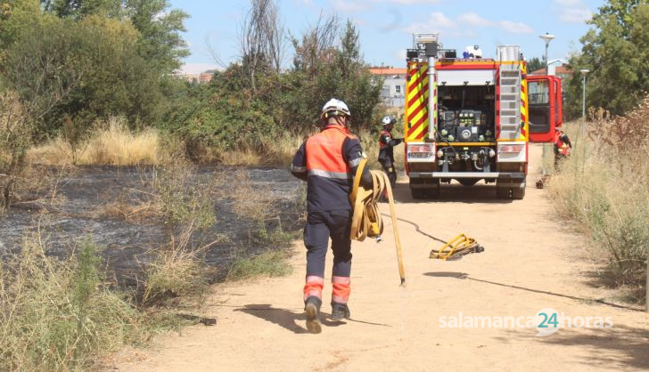 Incendio en la zona de Tejares (11)