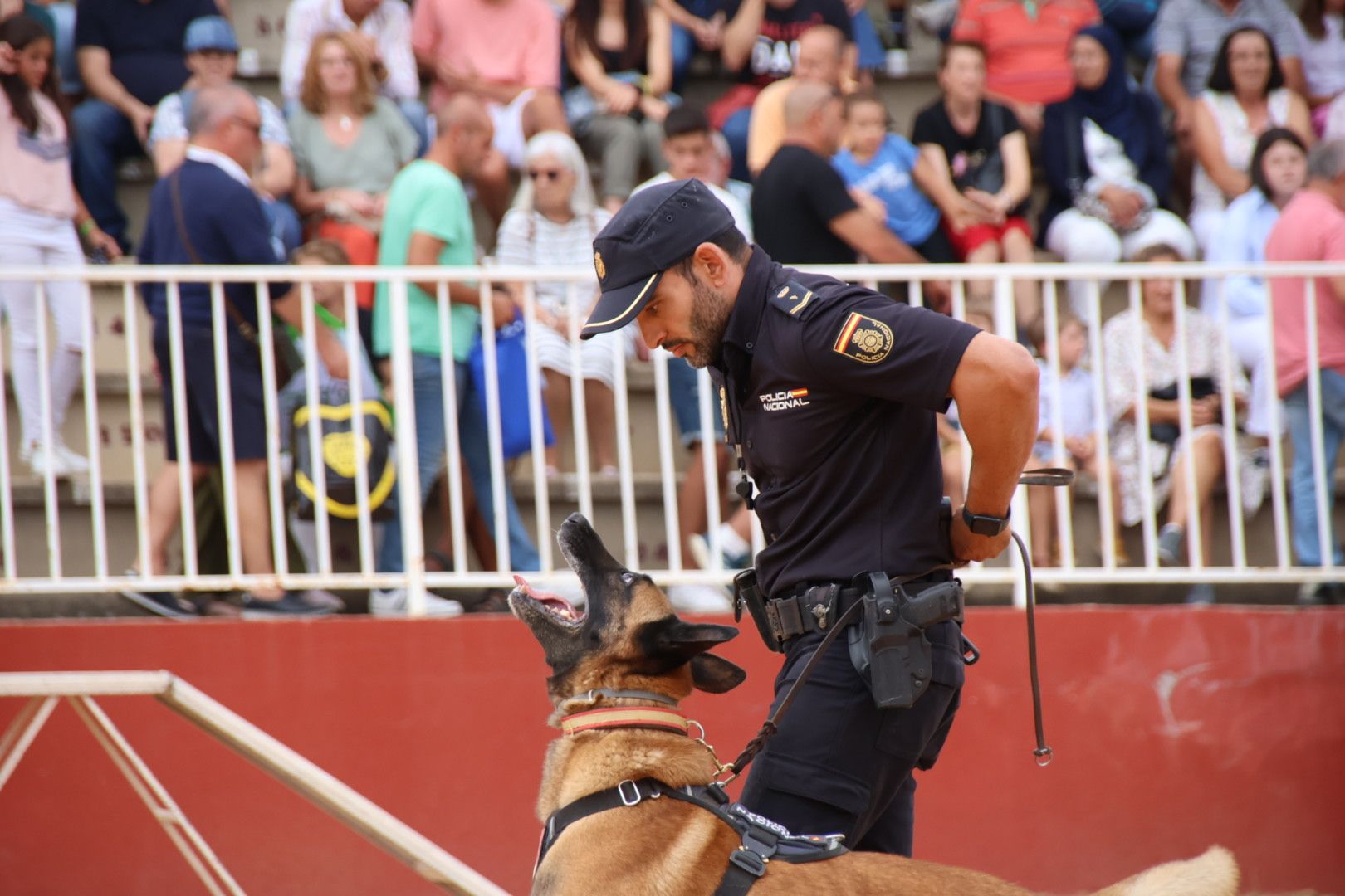 Exhibición canina policía nacional en Salamaq 2024