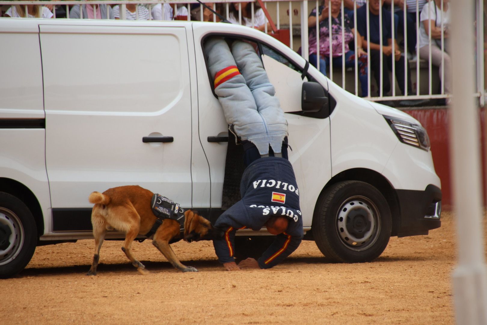 Exhibición canina policía nacional en Salamaq 2024