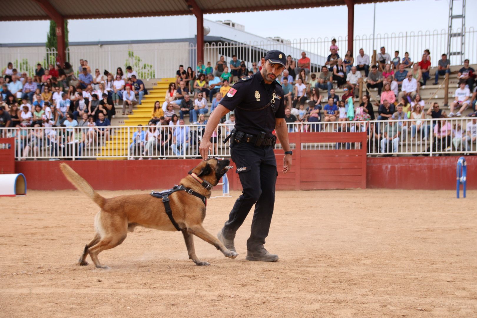 Exhibición canina policía nacional en Salamaq 2024