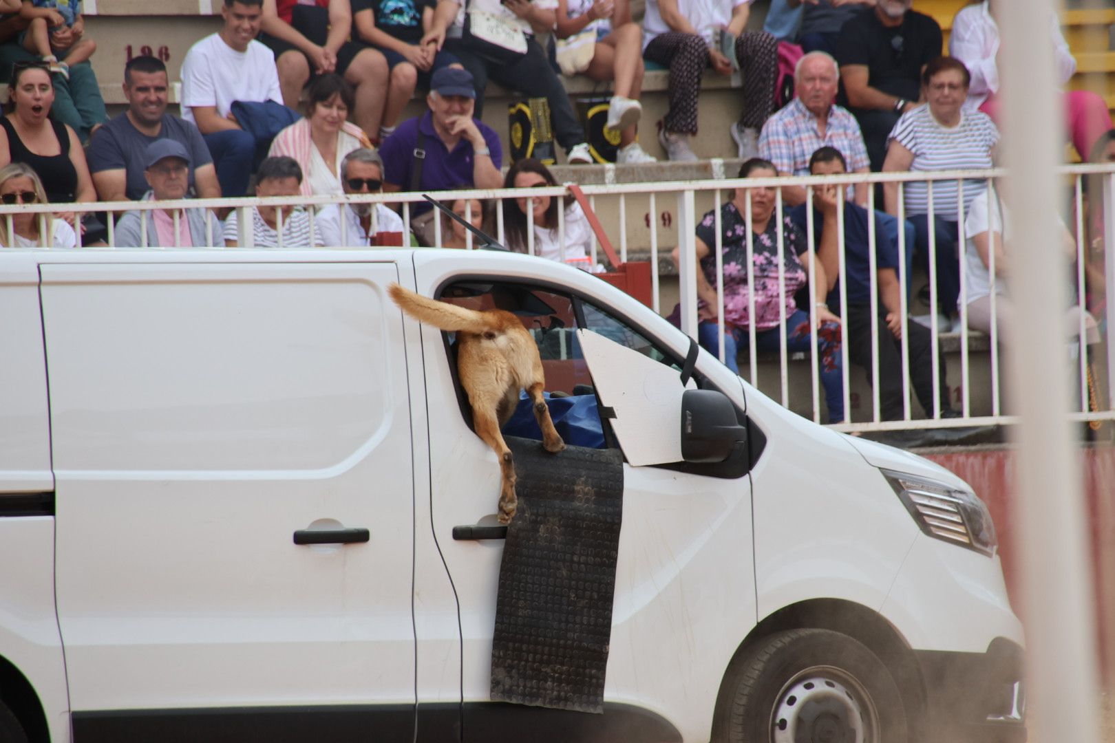 Exhibición canina policía nacional en Salamaq 2024