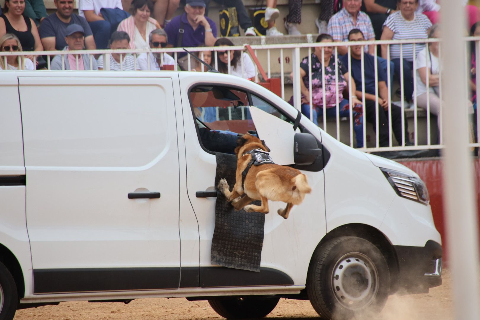 Exhibición canina policía nacional en Salamaq 2024