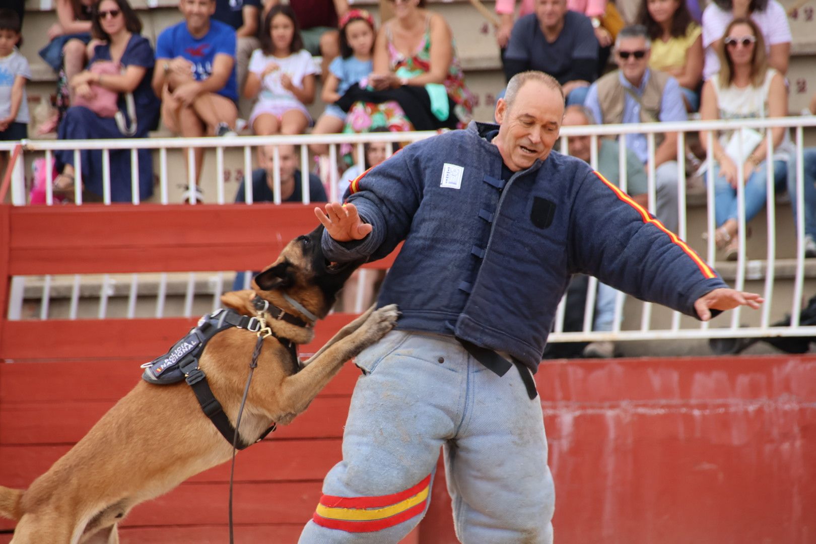 Exhibición canina policía nacional en Salamaq 2024