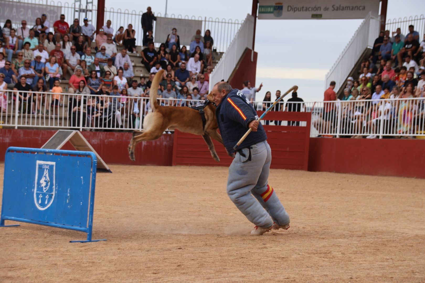 Exhibición canina policía nacional en Salamaq 2024