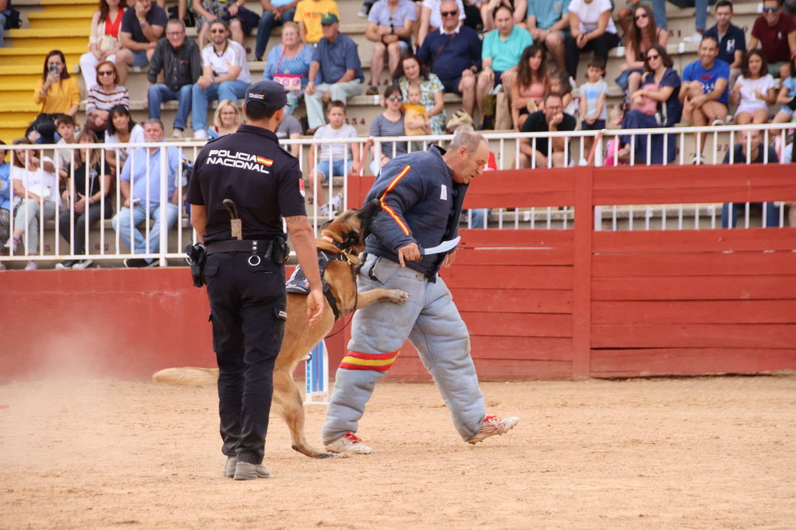 Exhibición canina policía nacional en Salamaq 2024